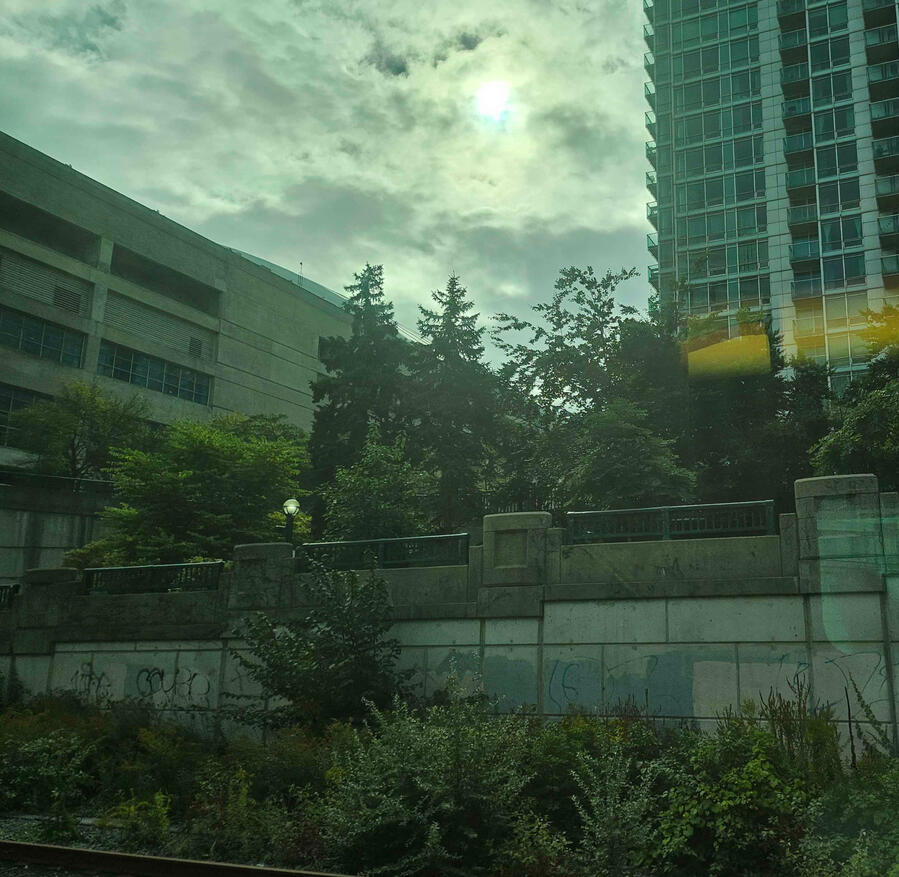 Overgrown Apocalypse